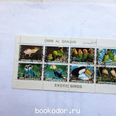 Exotic birds.ОАЭ